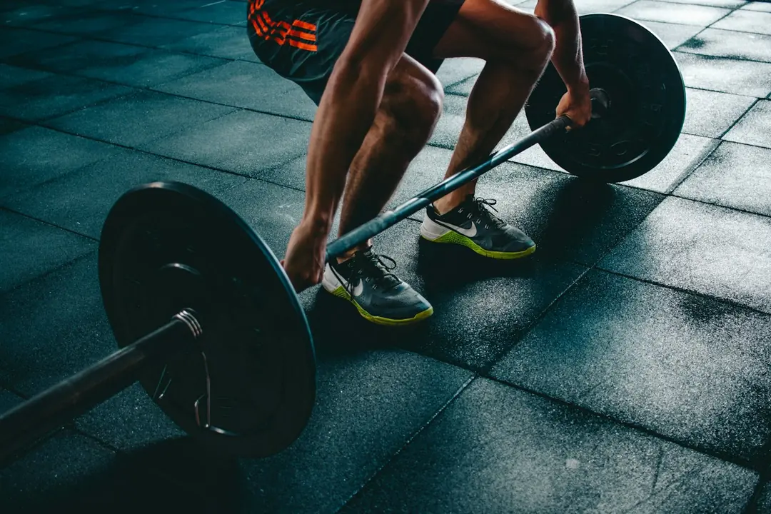 Spor salonunda sıralı dambıllar
